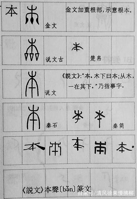 指事字查詢